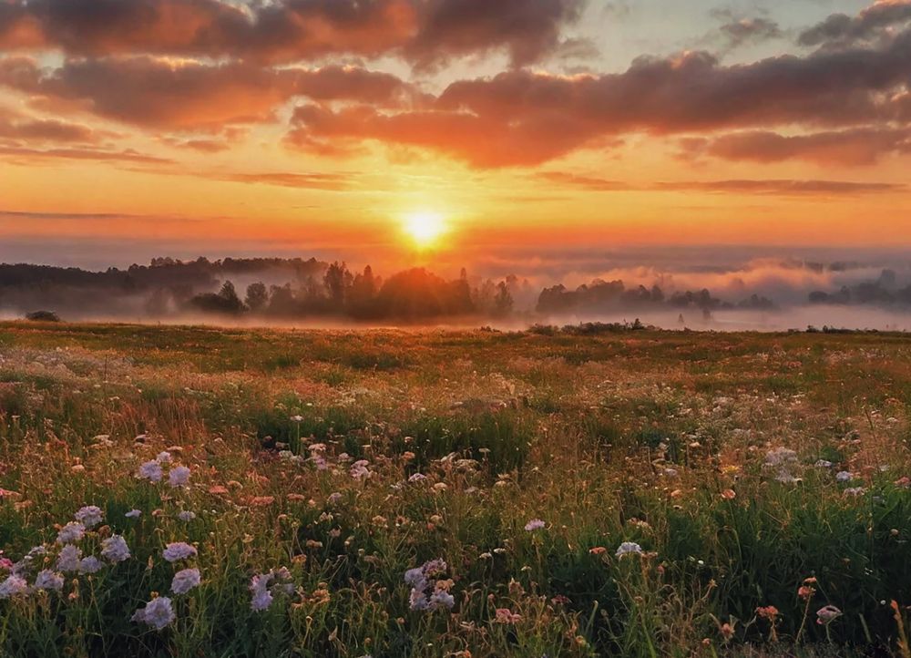 Photograph by Евгений Авдеев