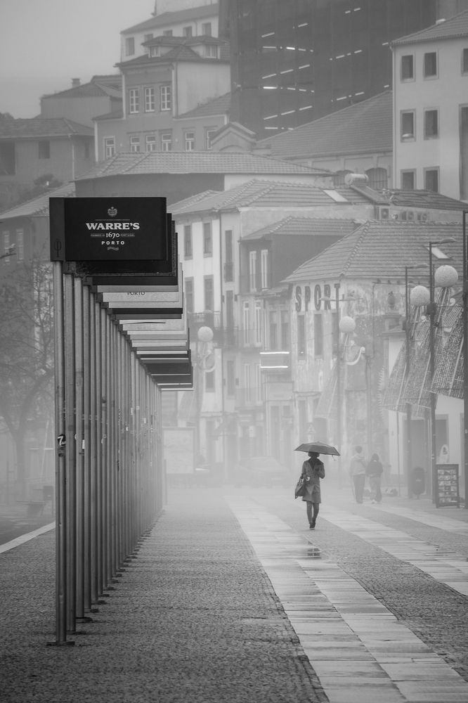 Фотография автора Catarina Almeida