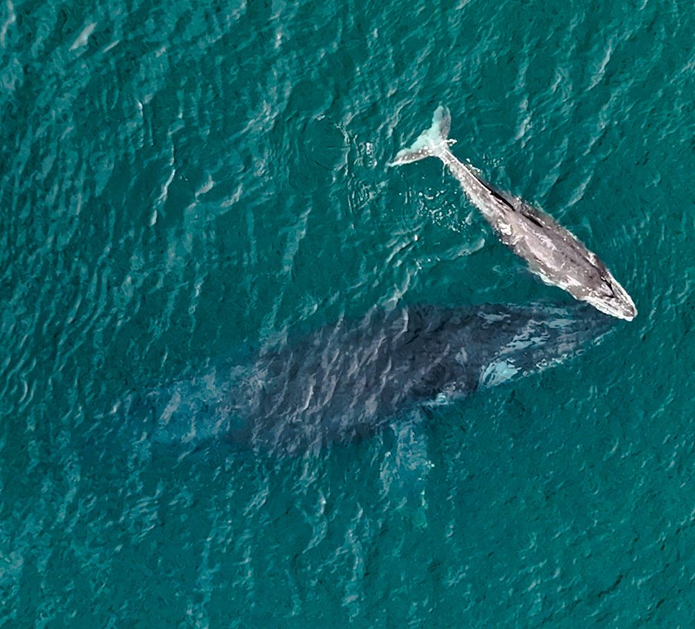 Фотография автора fabio chiari