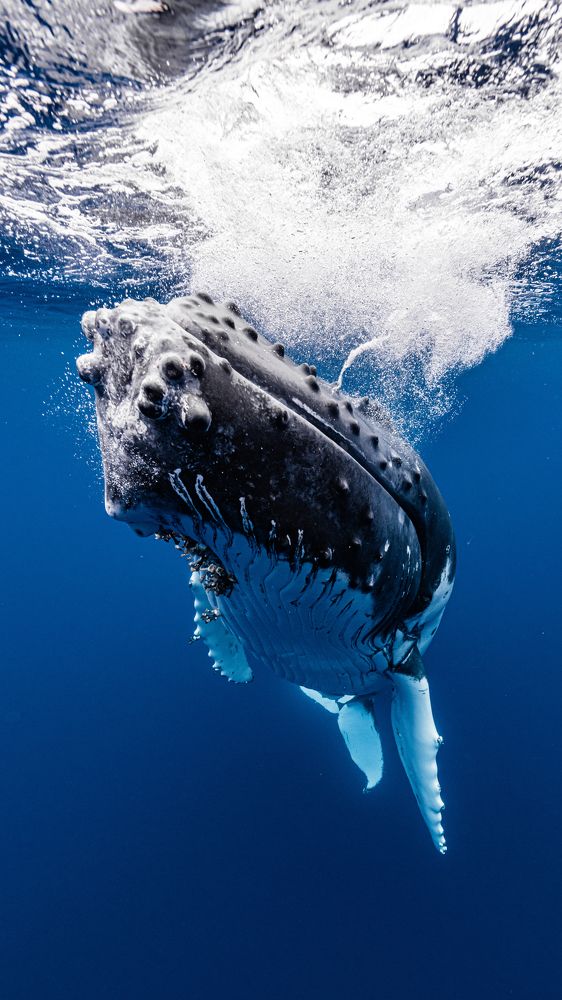 Photograph by Kurashima Daisuke