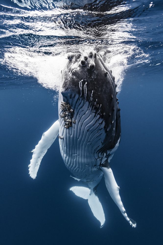 Photograph by Kurashima Daisuke