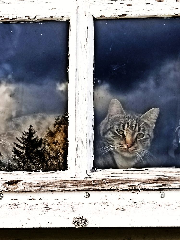 Фотография автора Татьяна Тригубенко