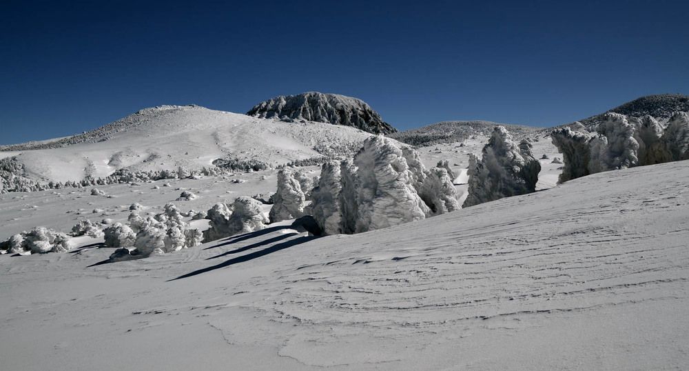 Photograph by Myunggyu Bae