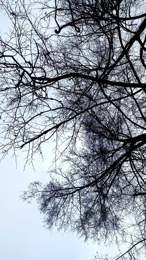 Photograph by Александр Молчунов