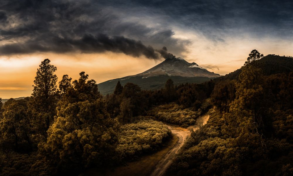 Фотография автора Shiloh García