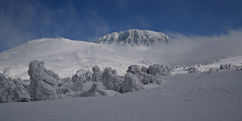 Photograph by Myunggyu Bae