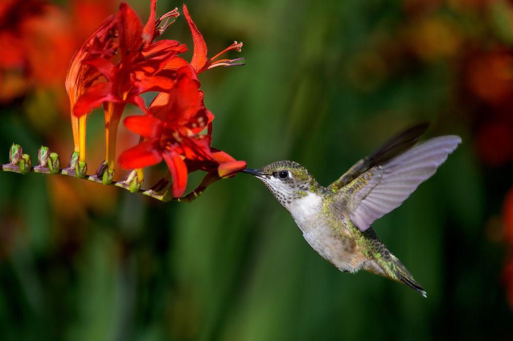 Photograph by Nathalie Talbot