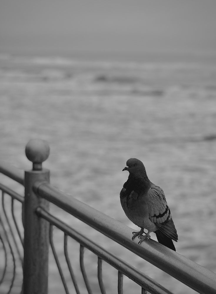 Photograph by Jekaterina Michejeva