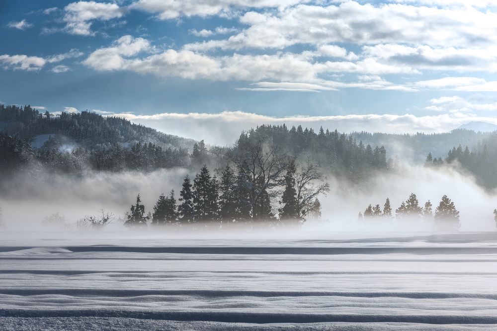 Photograph by 南雲 柊人