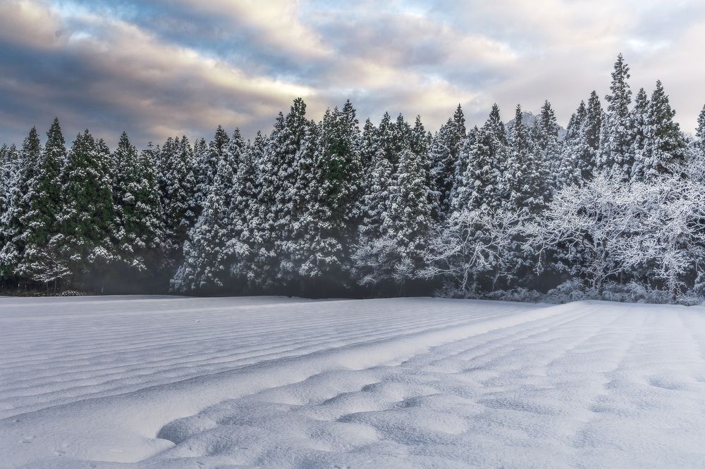 Photograph by 南雲 柊人