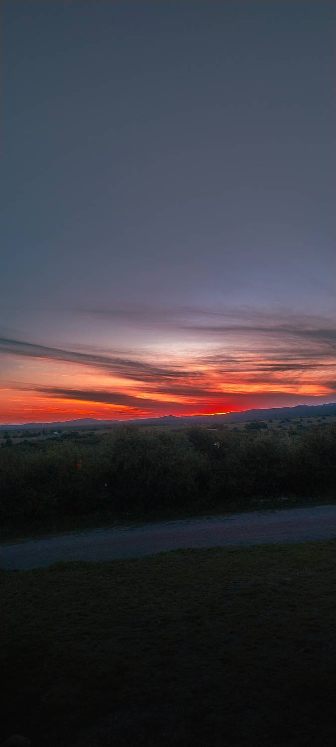 Photo #11736978