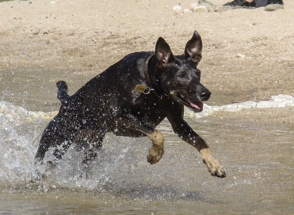 Фотография автора Marina Martorelli