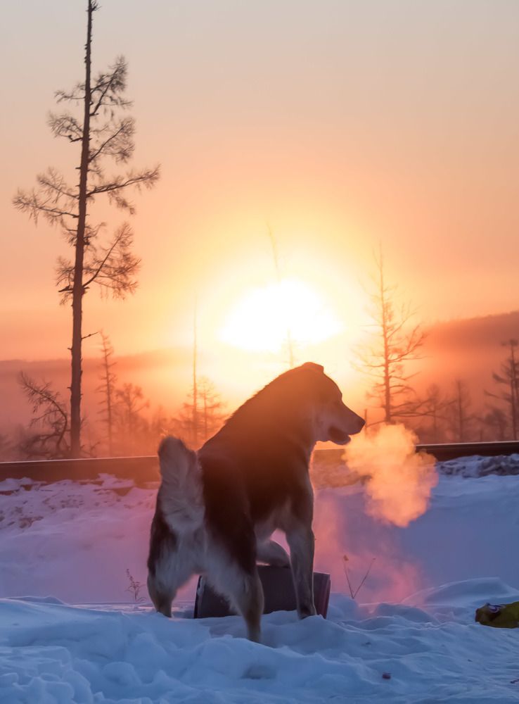 Photograph by Михаил Мархинин