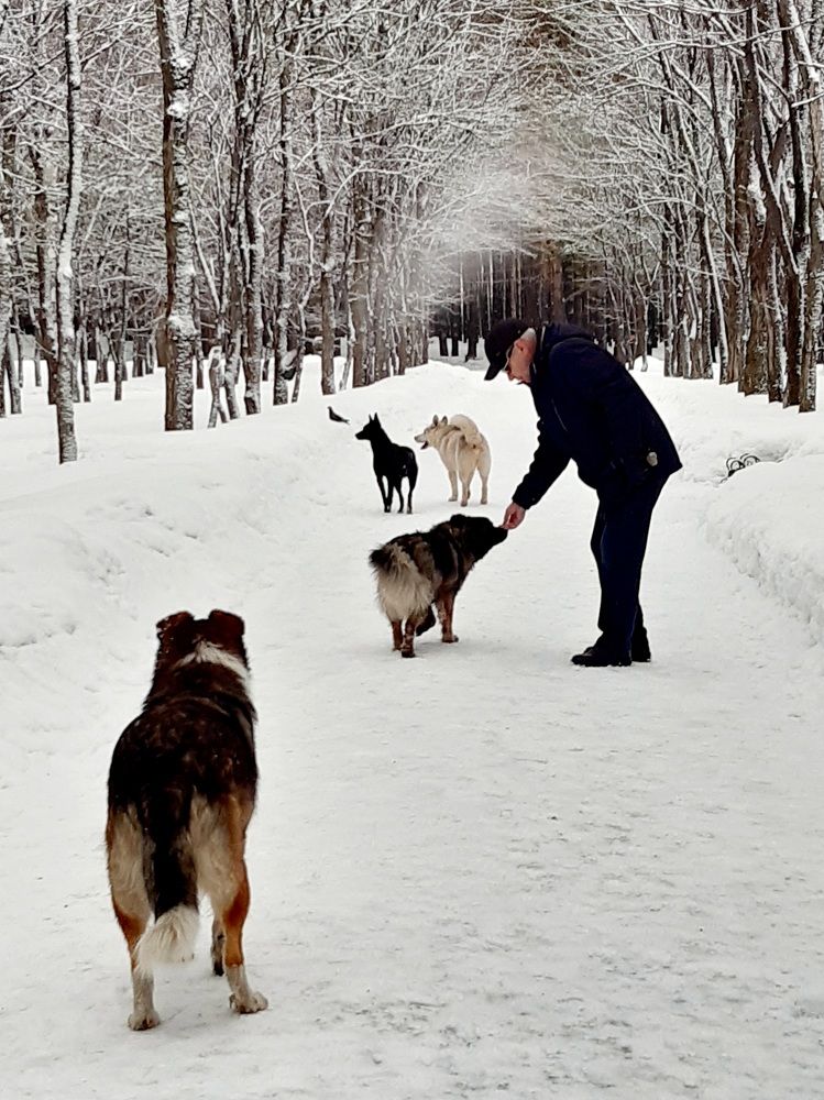 Фотография автора Наталья Шендяпина