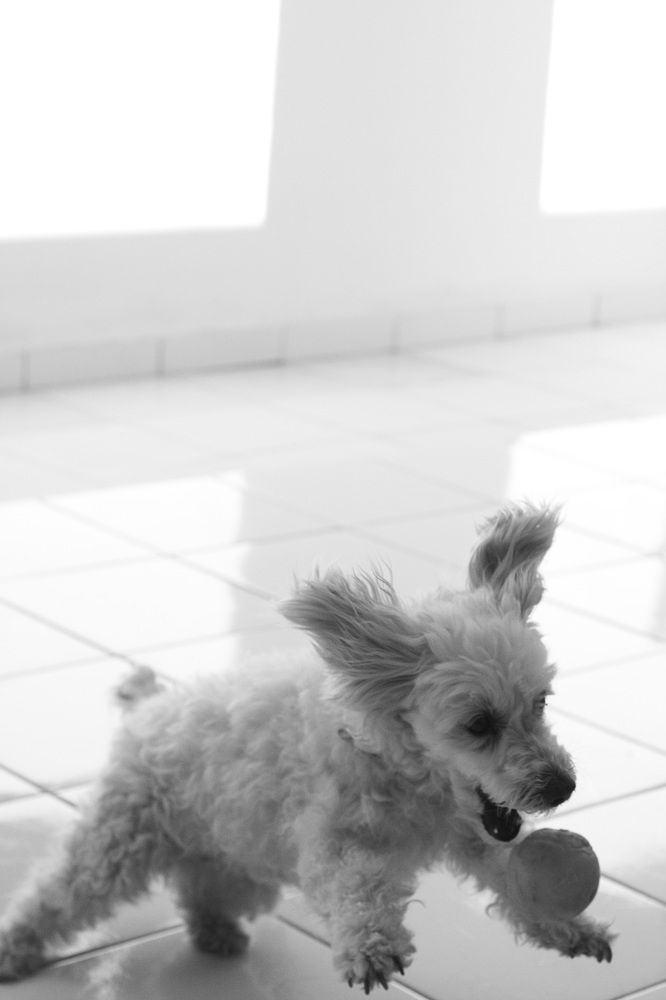 Photograph by Luiz Gustavo Campino Grunewald