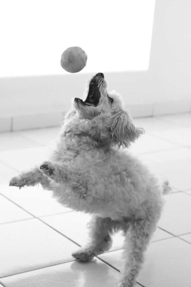 Photograph by Luiz Gustavo Campino Grunewald