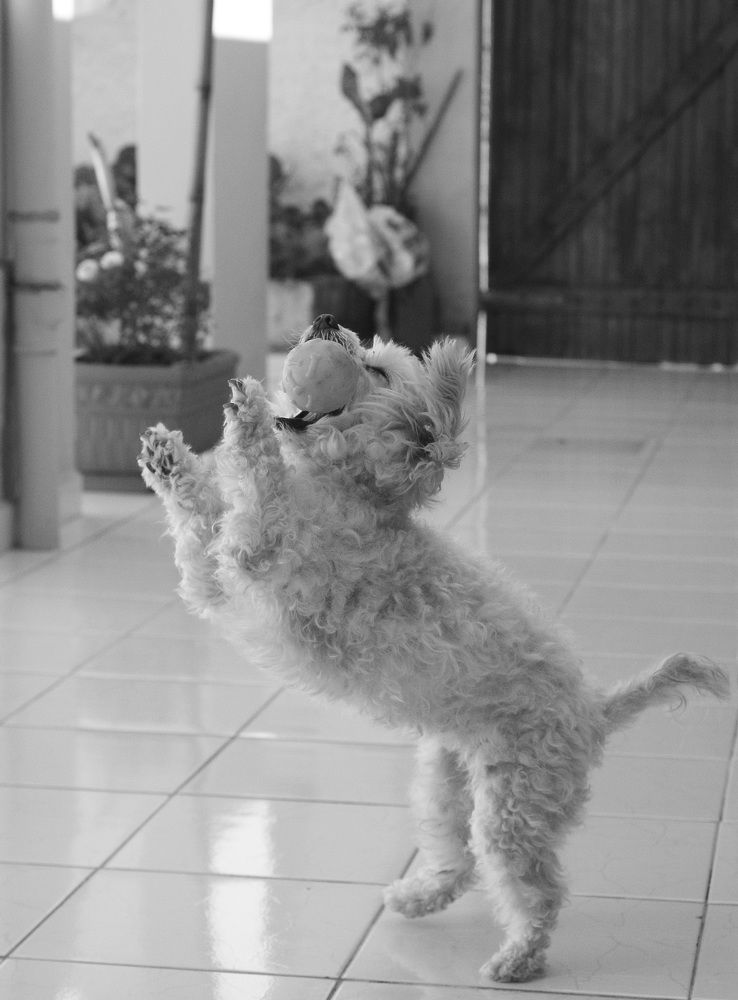 Photograph by Luiz Gustavo Campino Grunewald