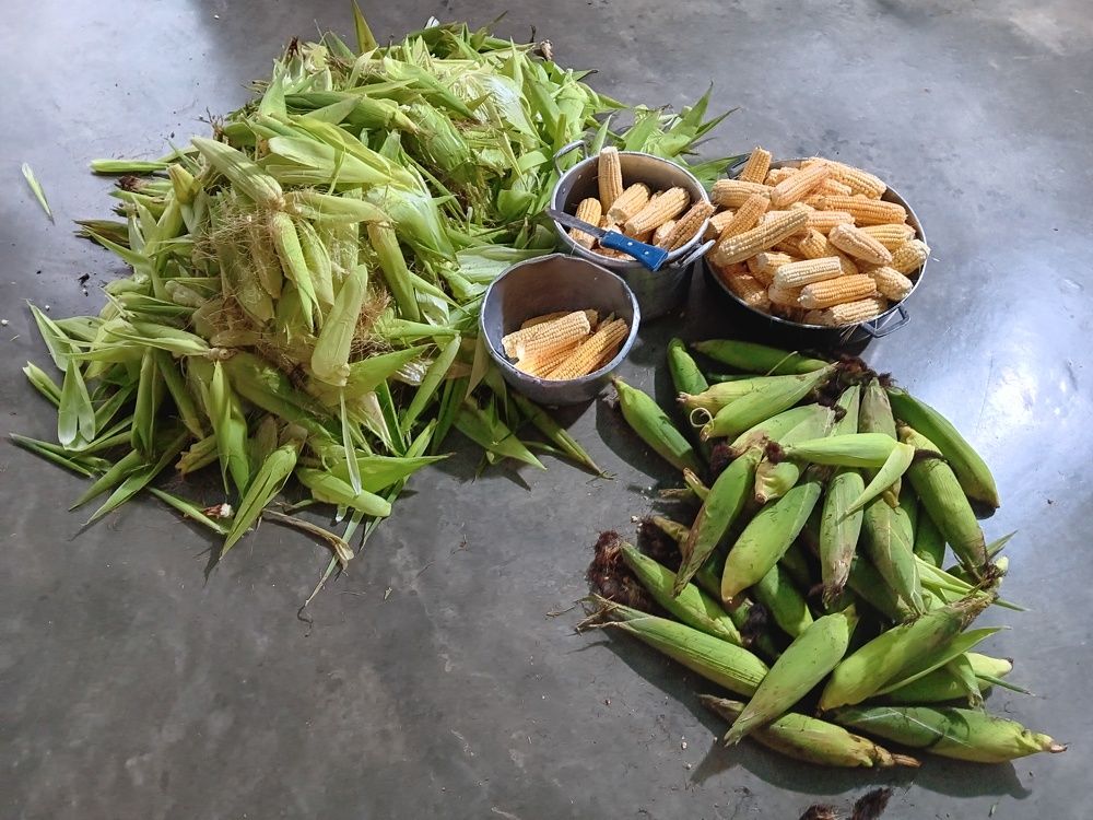 Photograph by Marzio Fattorini