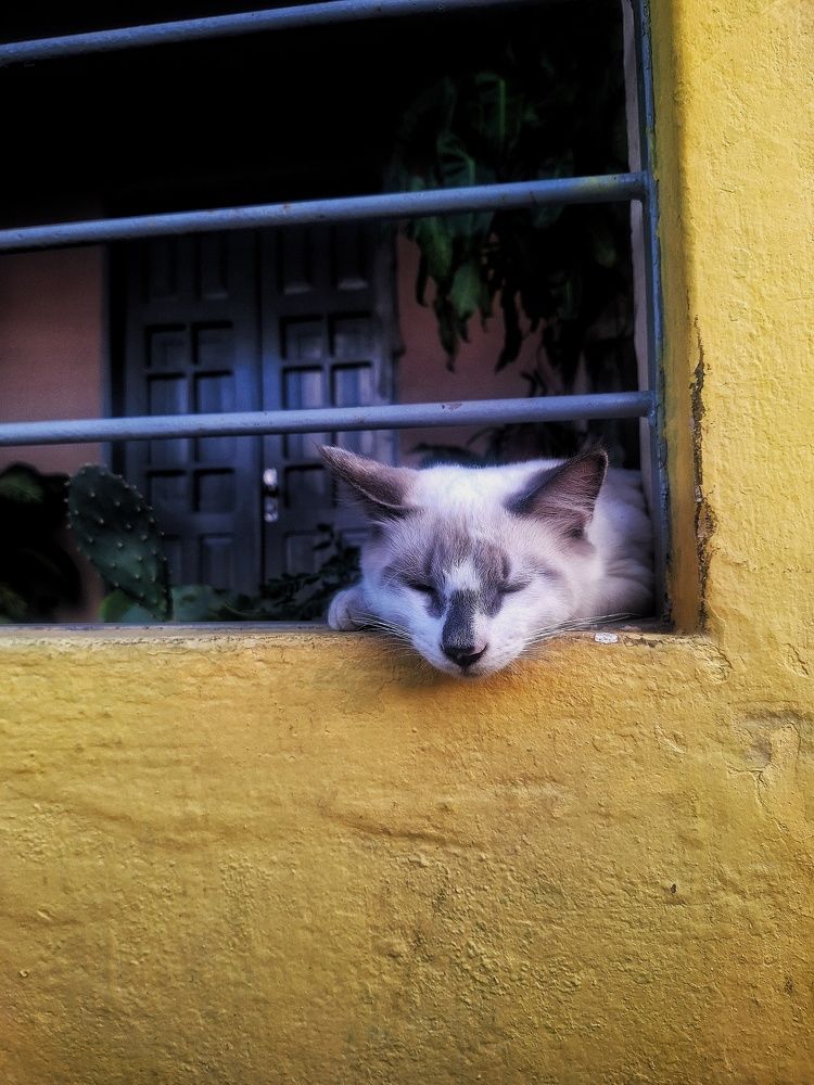 Фотография автора Gabriel Felipe