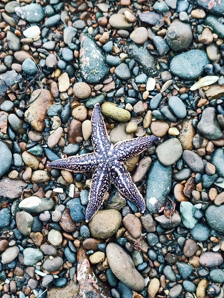 Photograph by Козлова Ольга