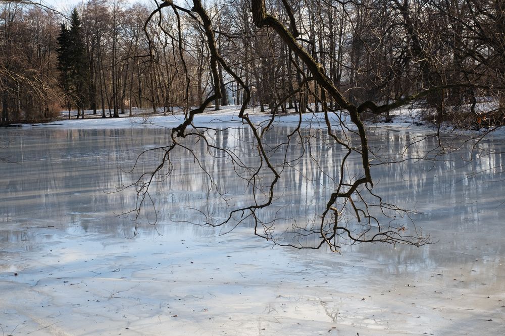 Photograph by Anastasia Vladimirovna