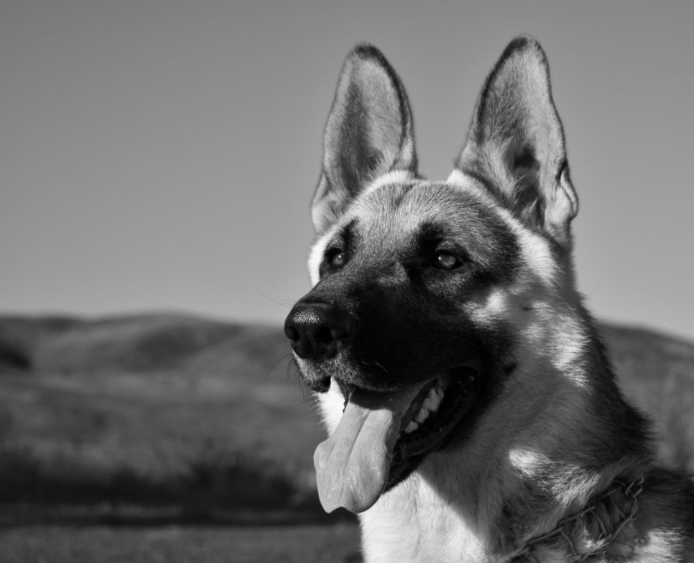 Photograph by Валентина Воробьёва