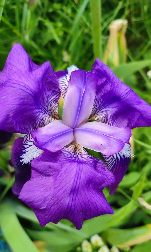 Photograph by Полина Скурская