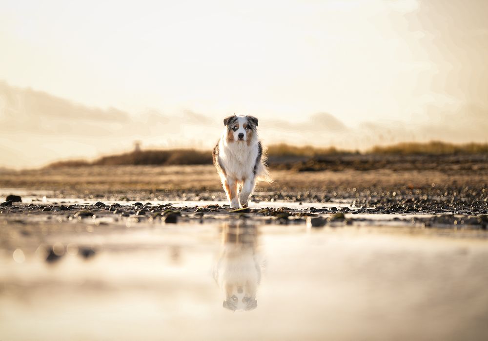 Photograph by Laura Quandt