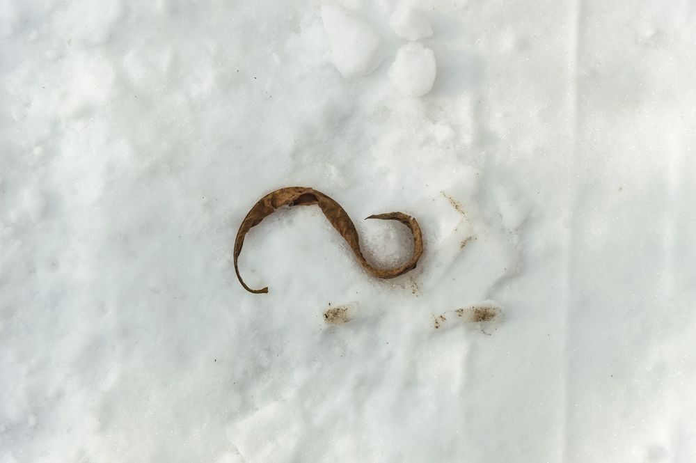 Photograph by Nadezhda