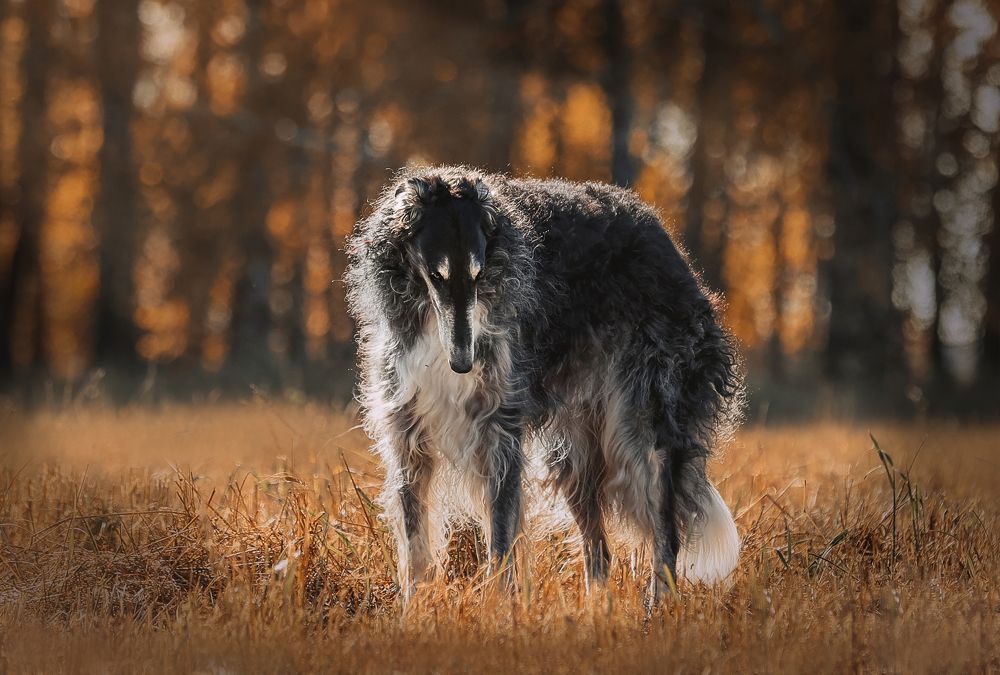 Photograph by Татьяна Кауфман