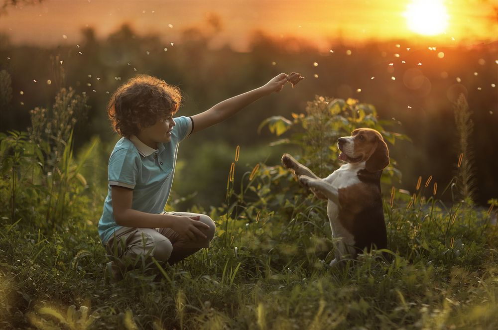 Photograph by Екатерина Науменко