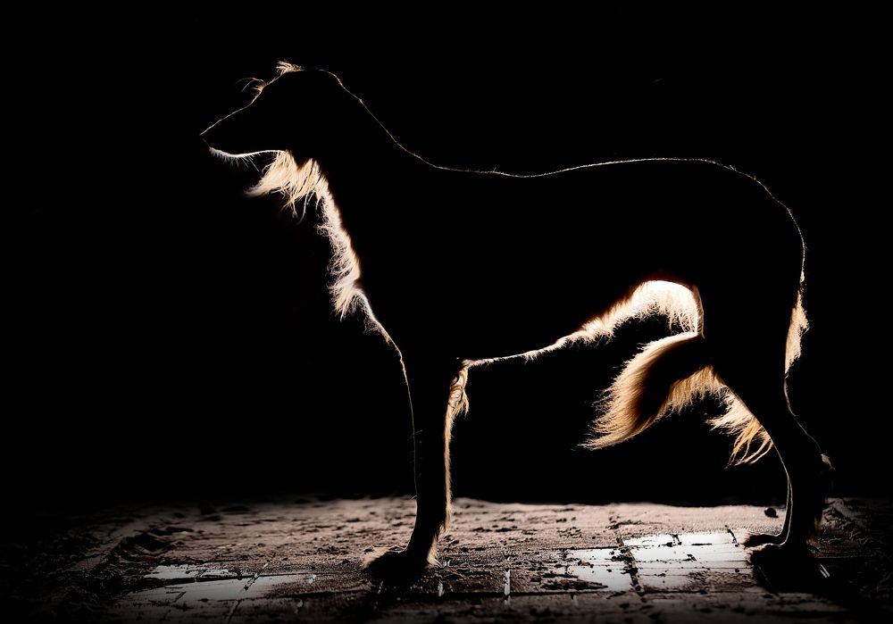 Photograph by Татьяна Кауфман