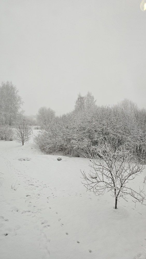 Photograph by Vera Vinogradova