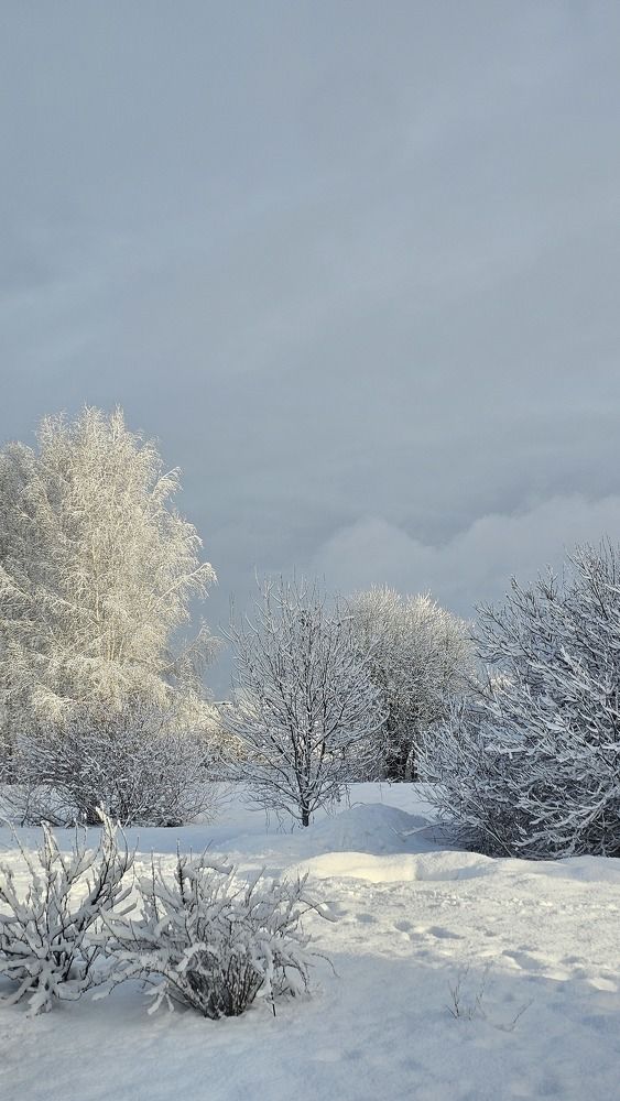 Photograph by Vera Vinogradova