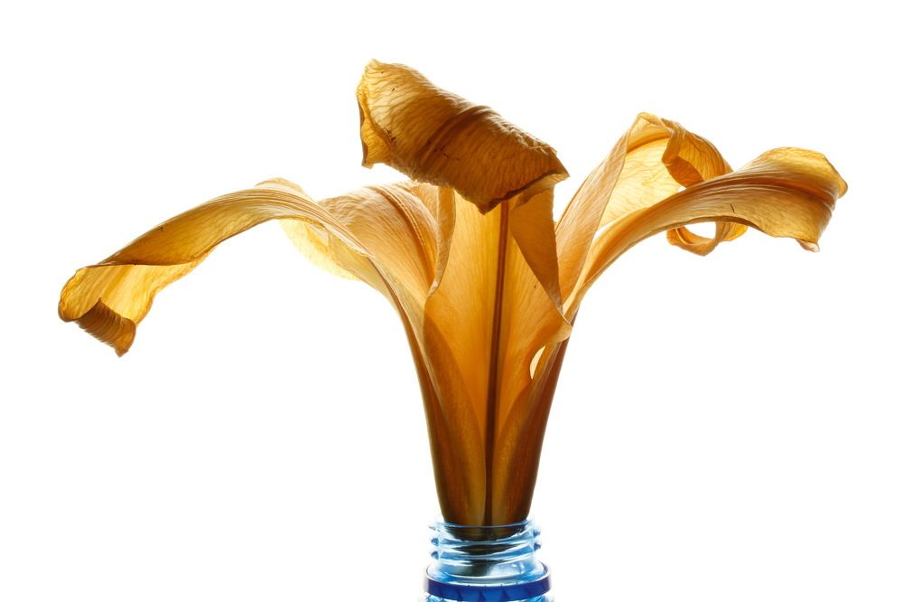 Photograph by Никита Коробейников