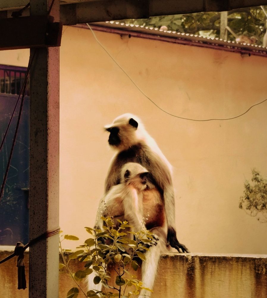 Фотография автора Debdutt Saha