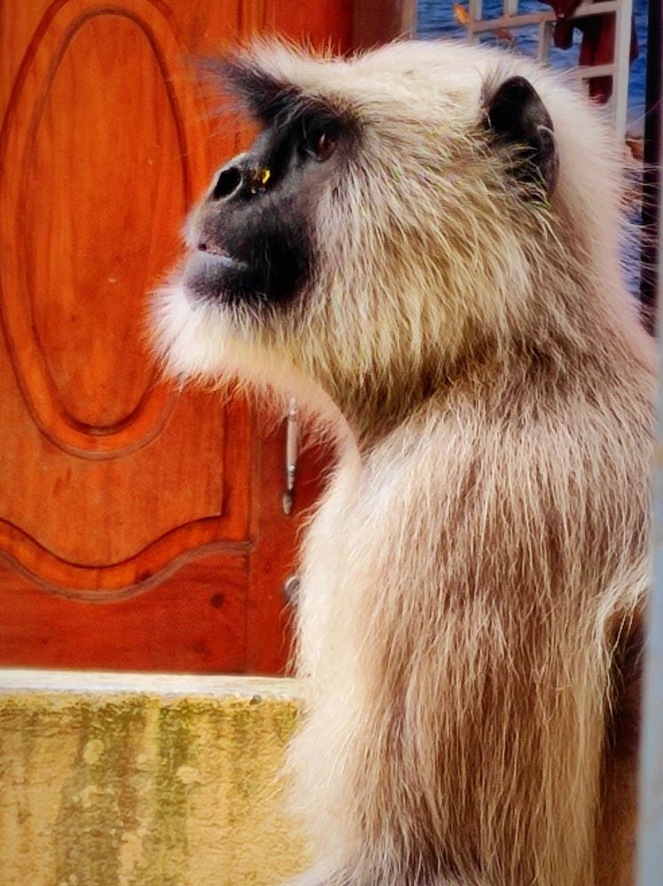 Фотография автора Debdutt Saha