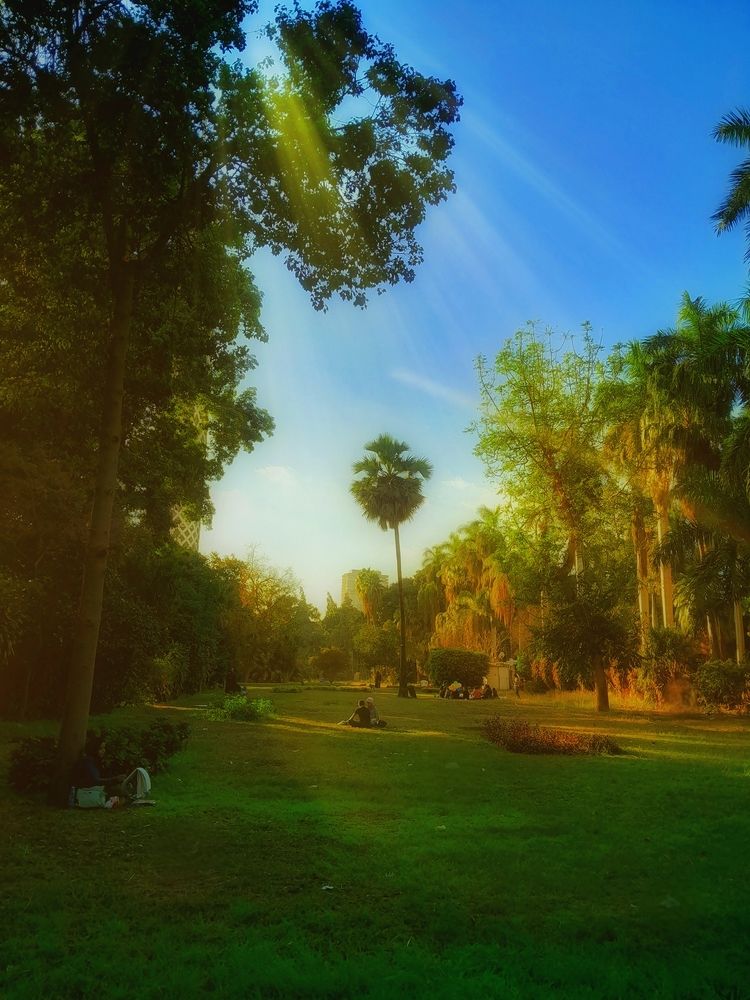Photograph by Rawan Yassen