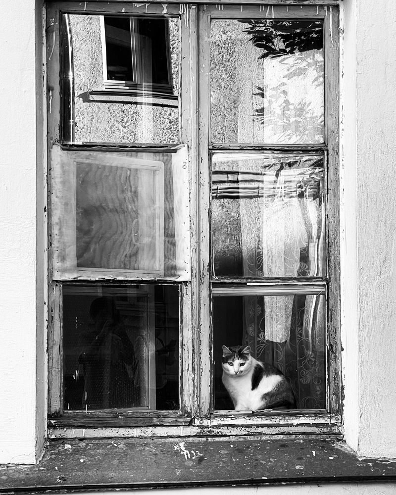 Photograph by Людмила Казак