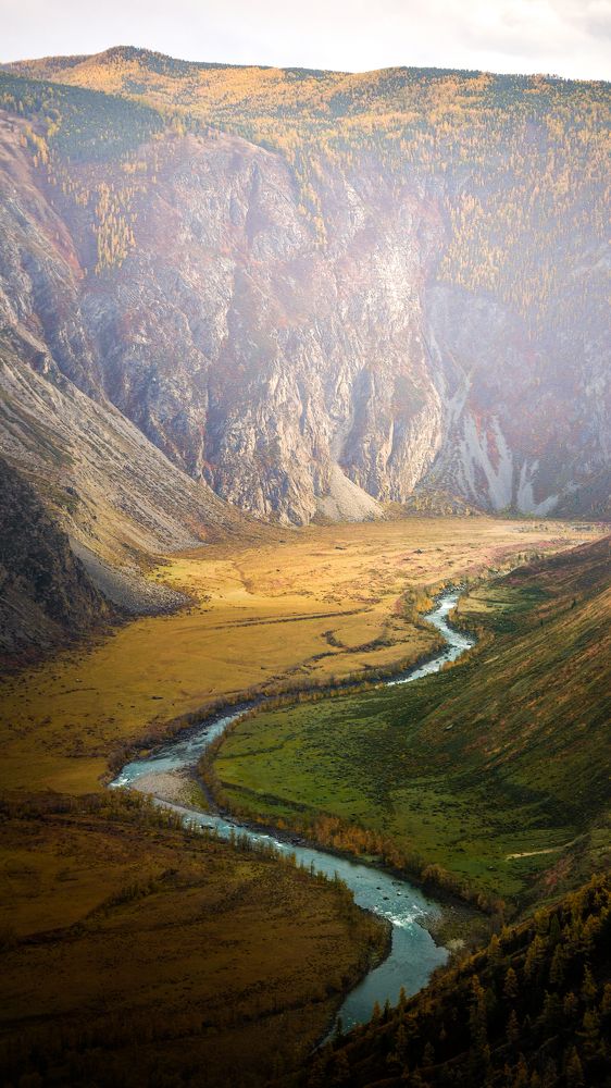 Фотография автора Denis