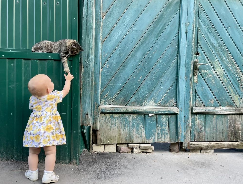 Photograph by Юлия Немцова