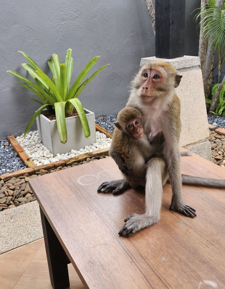 Photograph by Эльвира