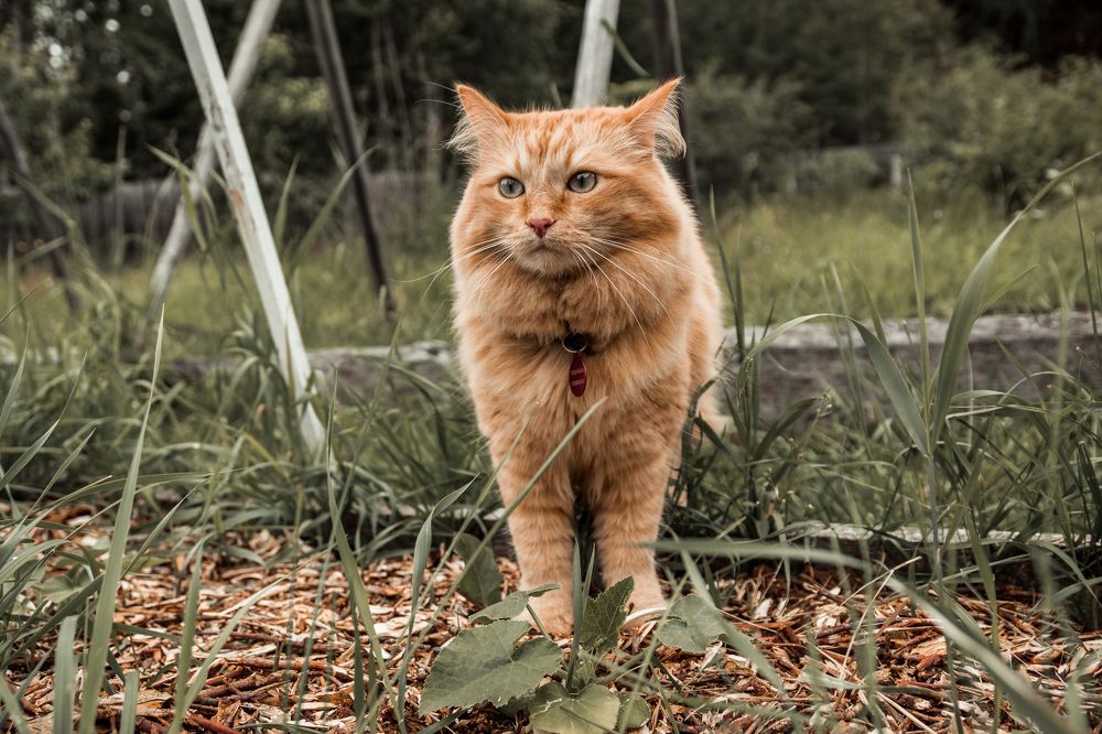 Photograph by Александр Акатьев