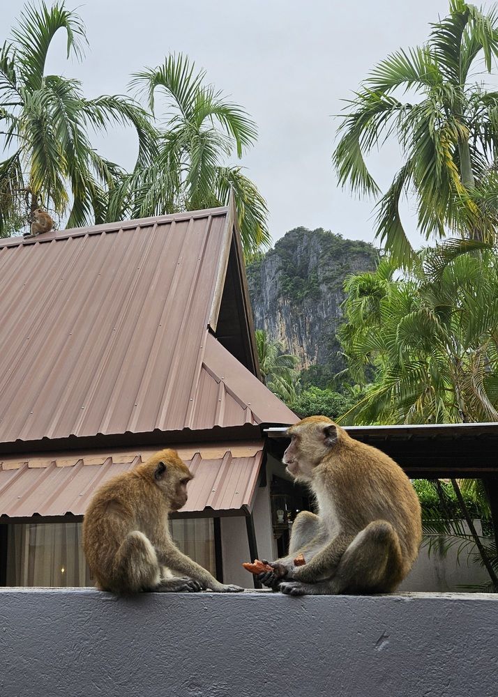 Photograph by Эльвира