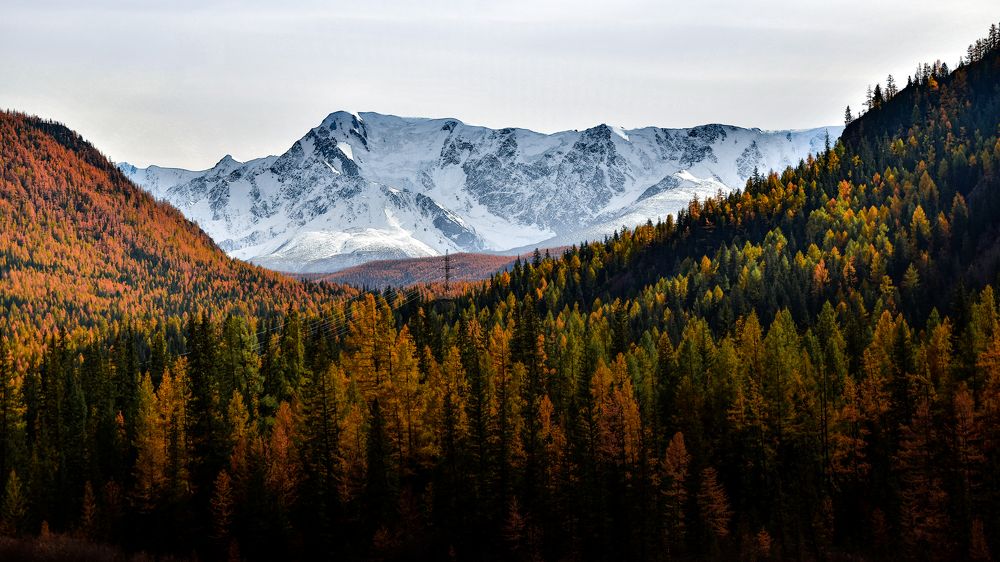 Фотография автора Denis