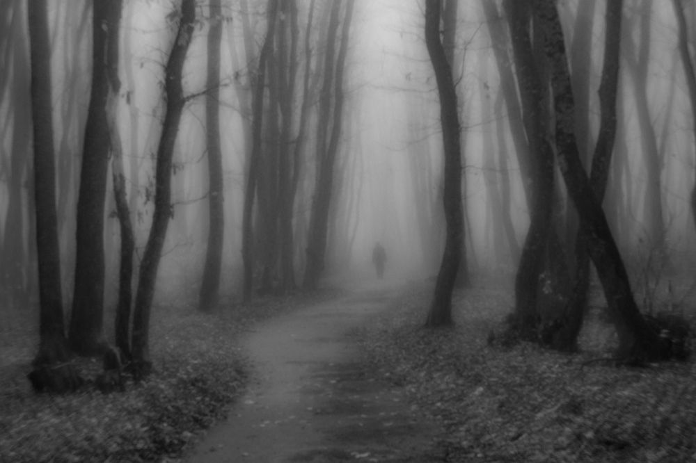 Photograph by Виталий Маслов