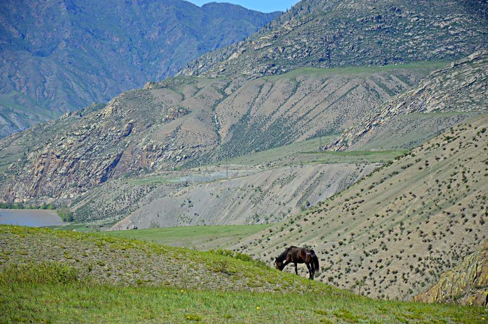 Photograph by Елена Савчук