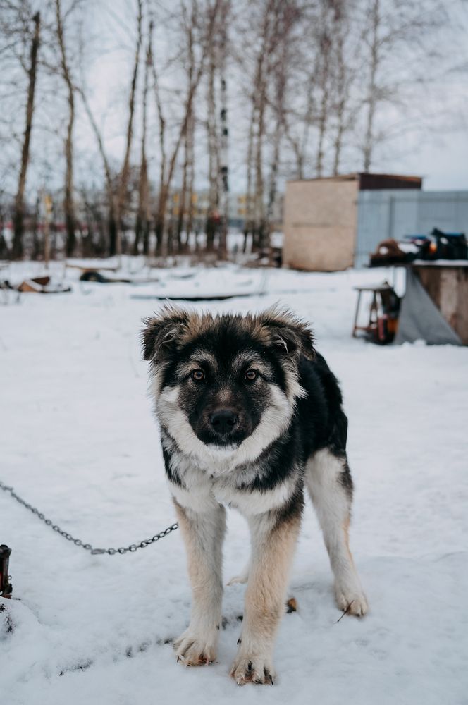 Photograph by Надежда Сивагина