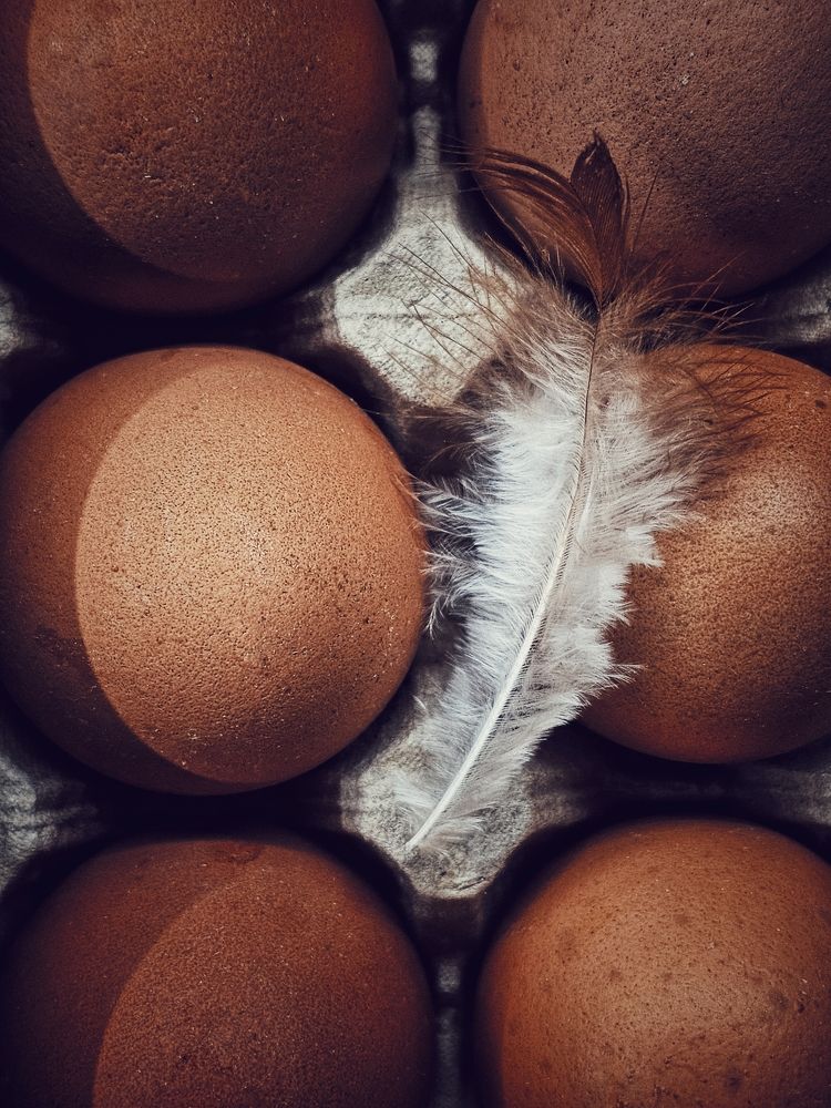 Photograph by Елена Ямнюк