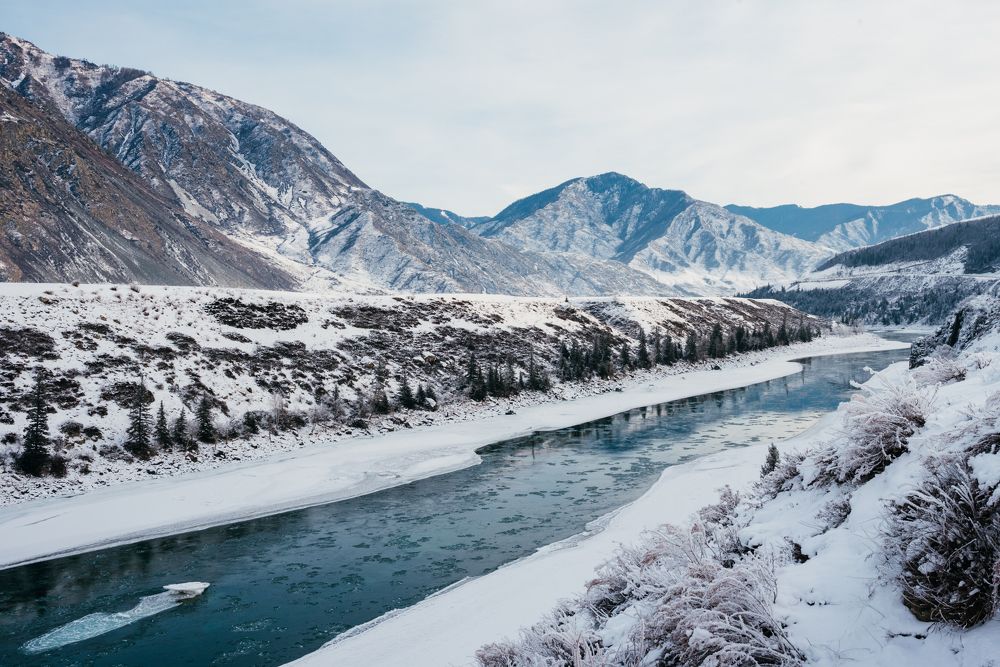 Altay